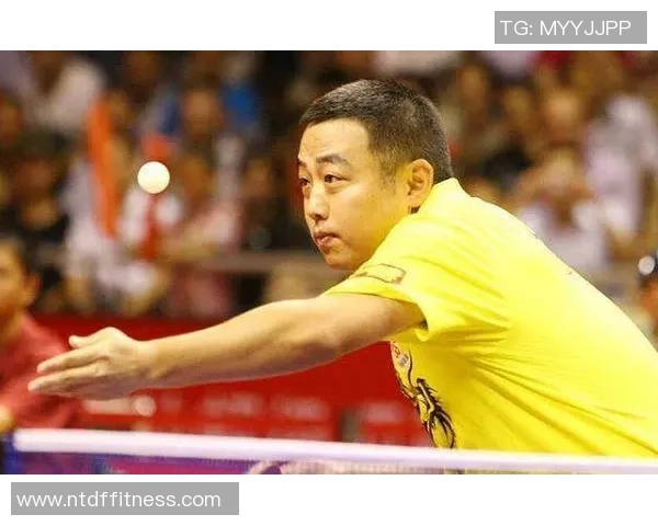 南京乒乓球队防反革新之路：技术突破与战术演变的深度解析