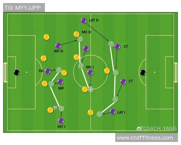 南京排球队在挑战赛中的默契配合与战术执行分析